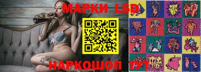 Альфа ПВП Кандалакша
