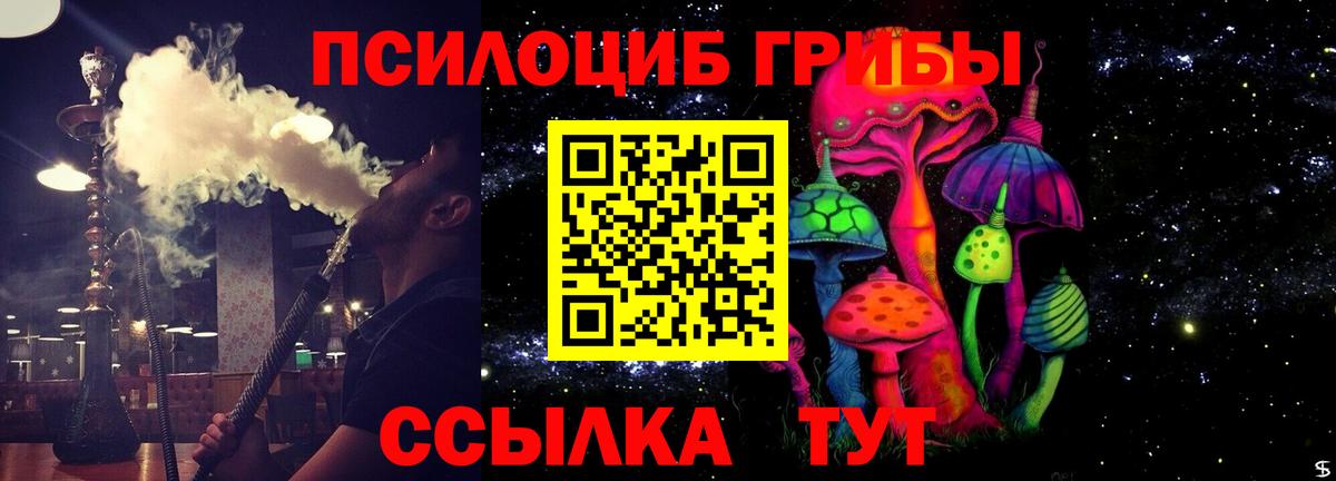 Псилоцибиновые грибы MAGIC MUSHROOMS  Псилоцибиновые грибы ЛСД  Вход с VPN  Курчалой 