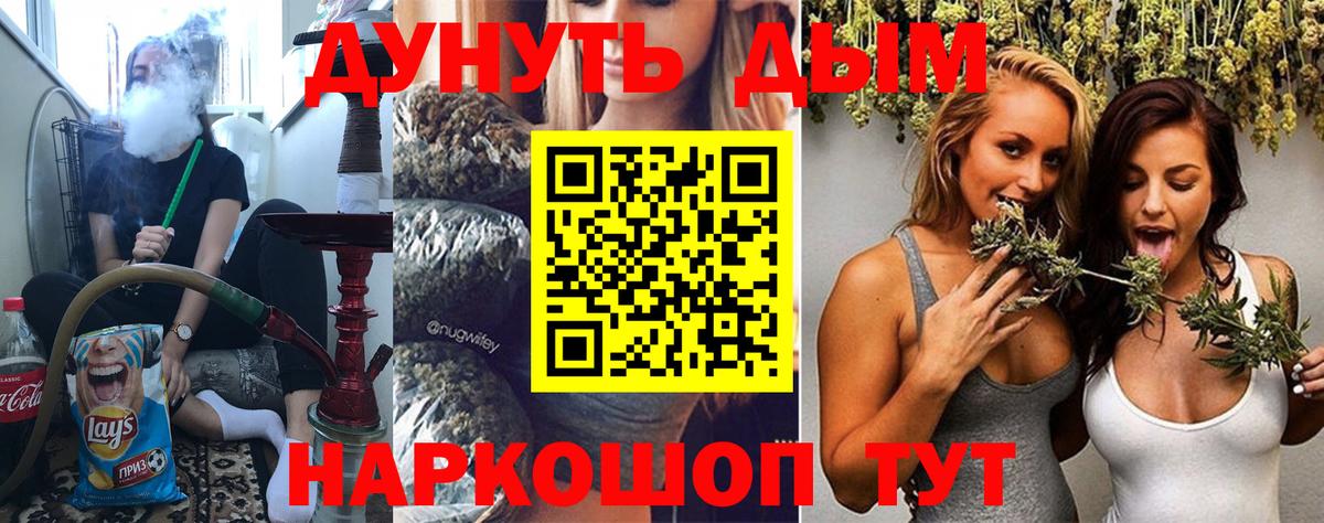 Курчалой  Бошки Шишки Bruce Banner  Бошки Шишки семена  Канабис план  Вход с VPN  Канабис SATIVA & INDICA 